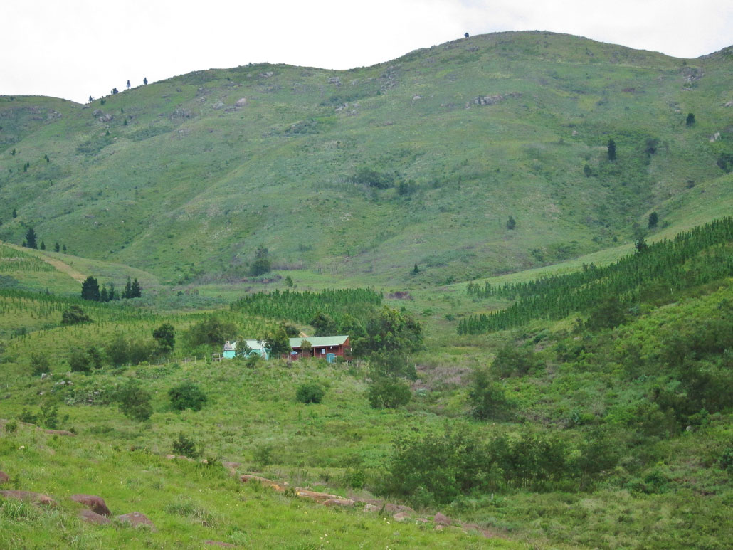 amatola-day3-cata-hut