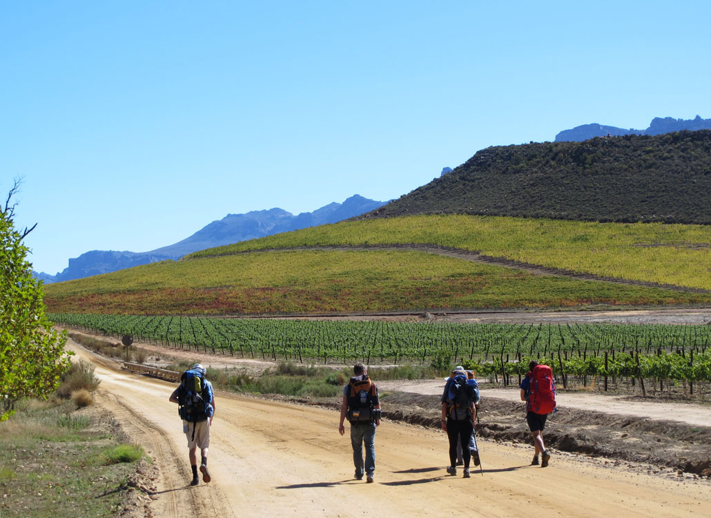 cederberg-circuit-24-sanddrif-vineyards-2