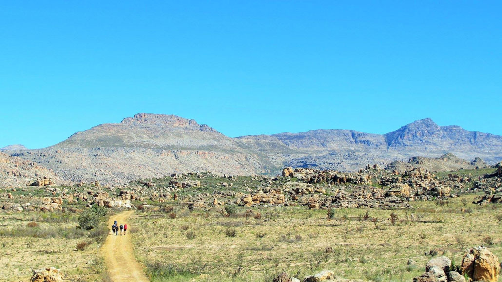 cederberg-circuit-25-pup-sneeuwberg