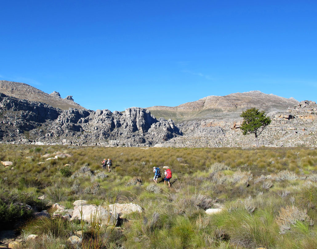 cederberg-circuit-9-eenboomkamp