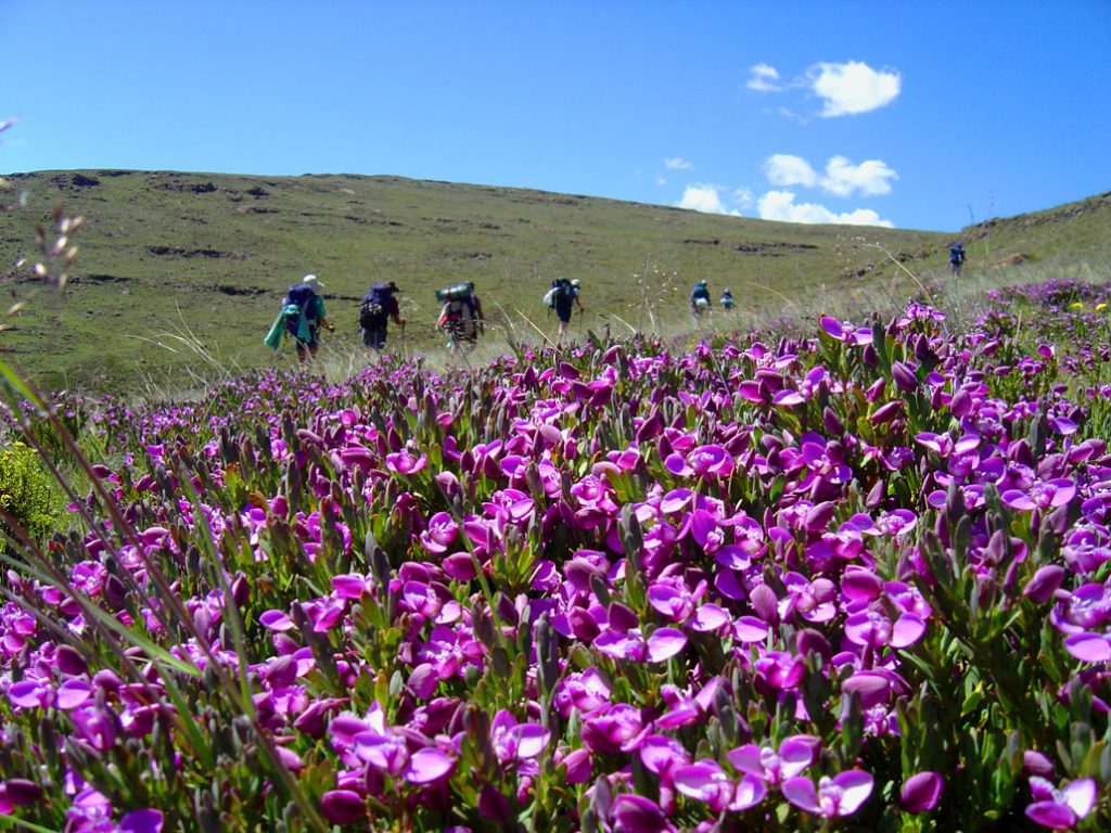 drakensberg-grand-traverse-day1d