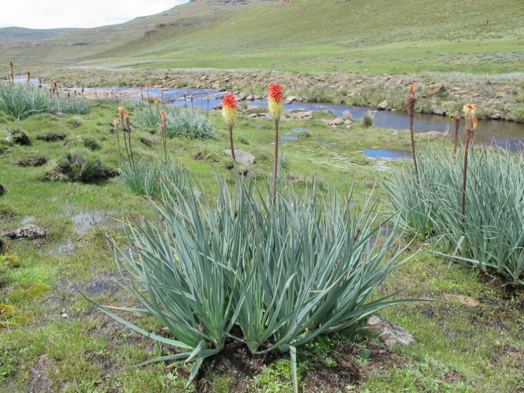 drakensberg-grand-traverse-day6b