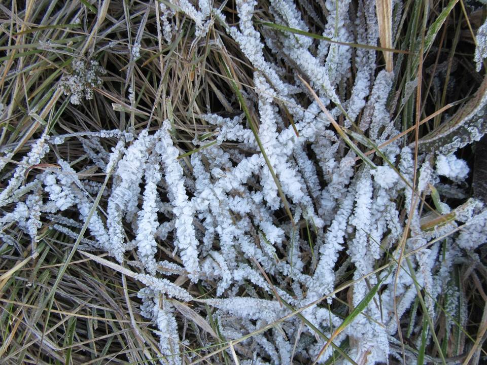 drakensberg-xeni-pass-frost