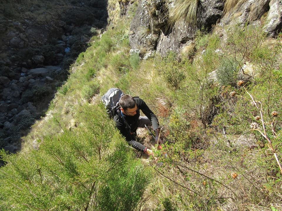 drakensberg-xeni-pass-steep-grass-slope