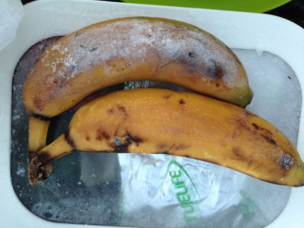 du-toits-peak-frozen-banana