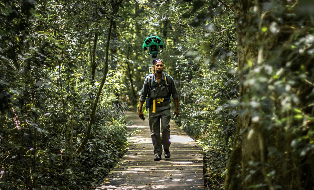 garden-of-eden-knysna