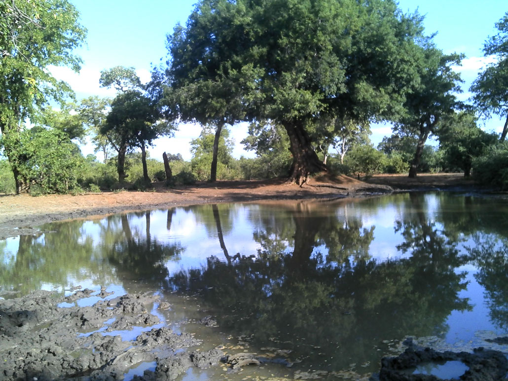 kruger-trail-waterhole