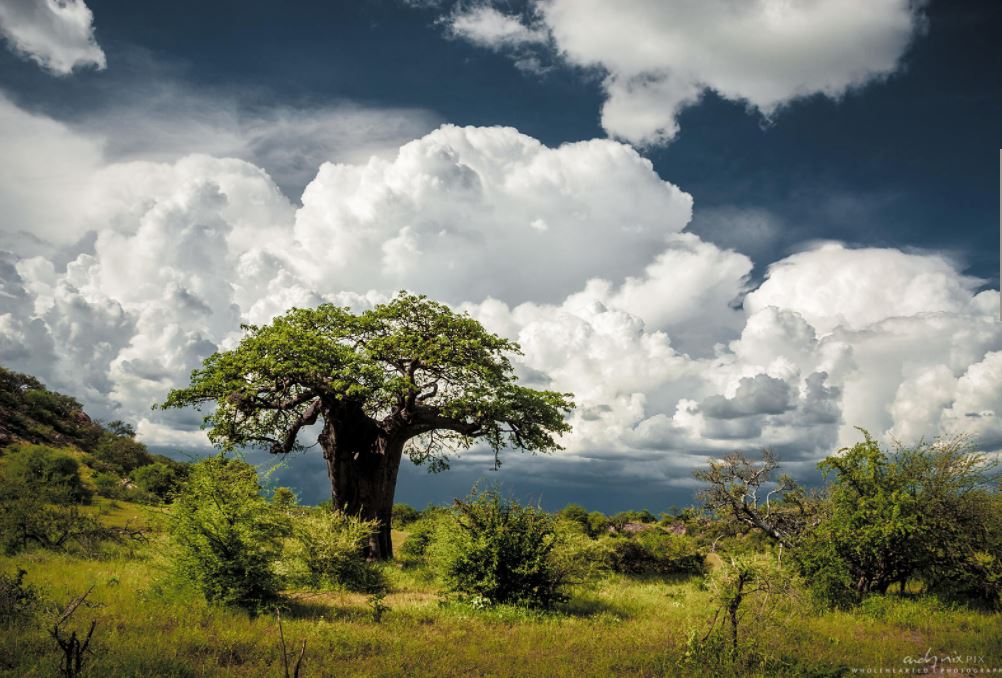 lightning-safety-cumulus-nimbus