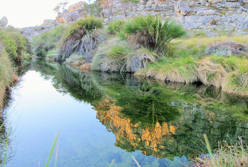 litter-crystal-pools