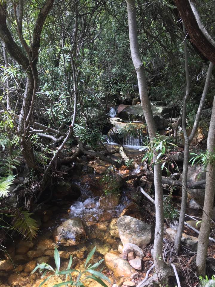 miaspoort-stream-crossing