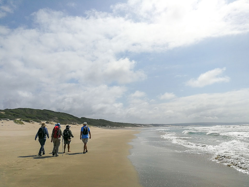 oystercatcher-trail-10