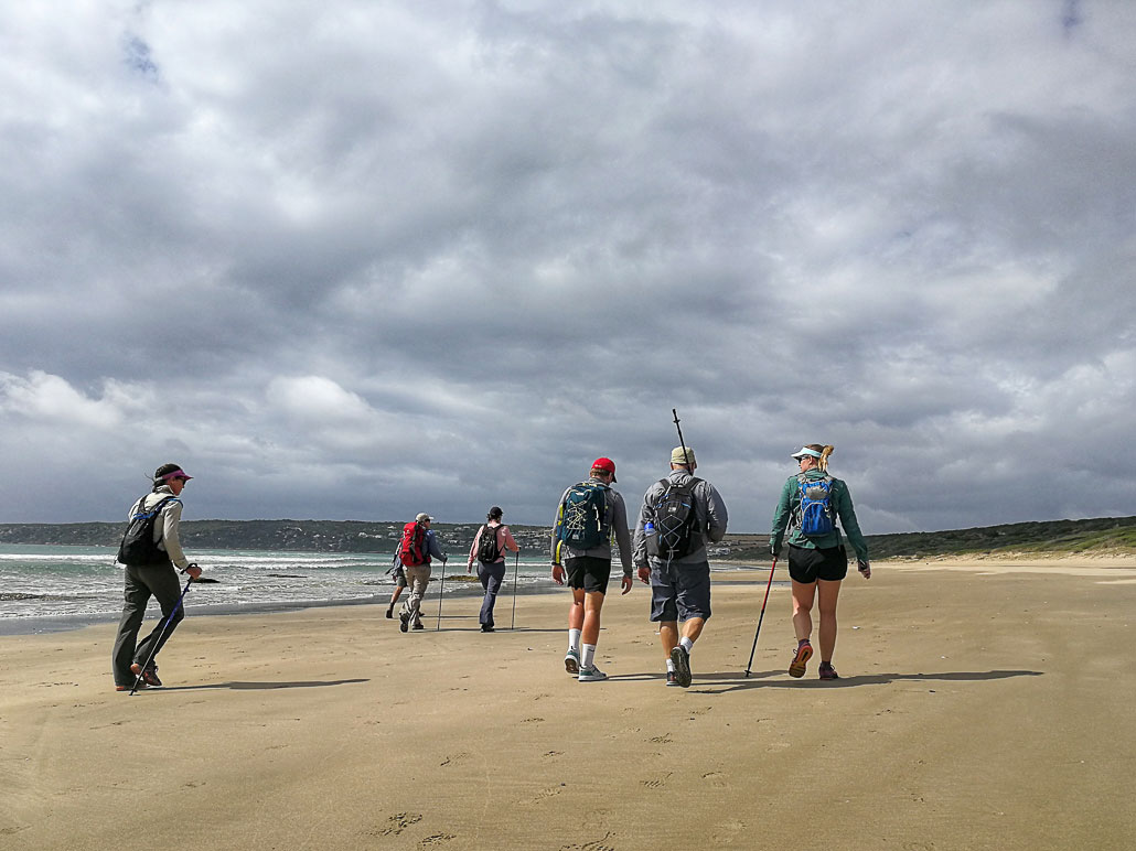 oystercatcher-trail-14