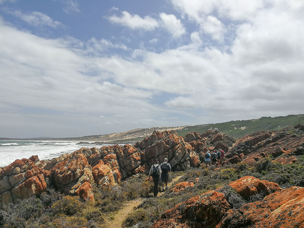 oystercatcher-trail-19