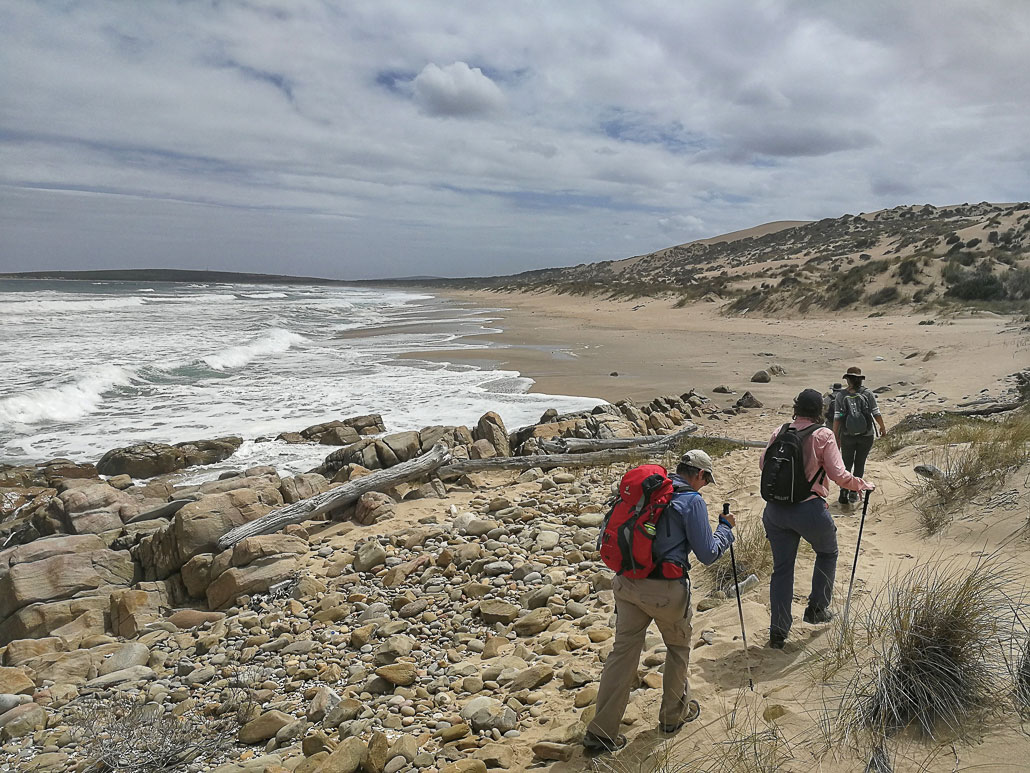 oystercatcher-trail-20