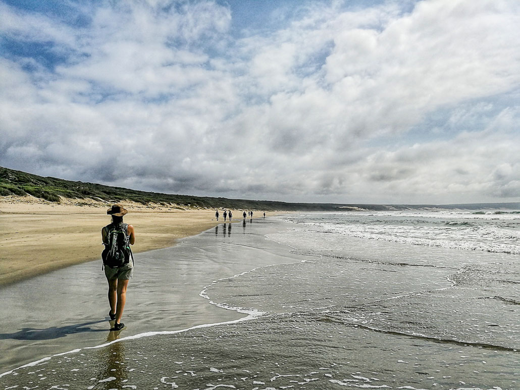 oystercatcher-trail-9