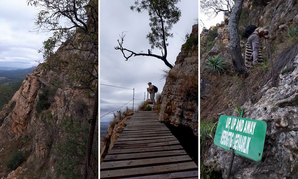 rustig-bridge-and-ladder