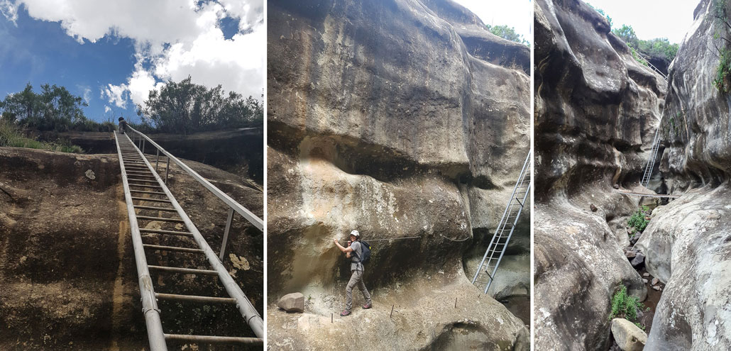 sporekrans-bamboeskloof-ladders