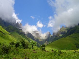 drakensberg-summer-fangs-2