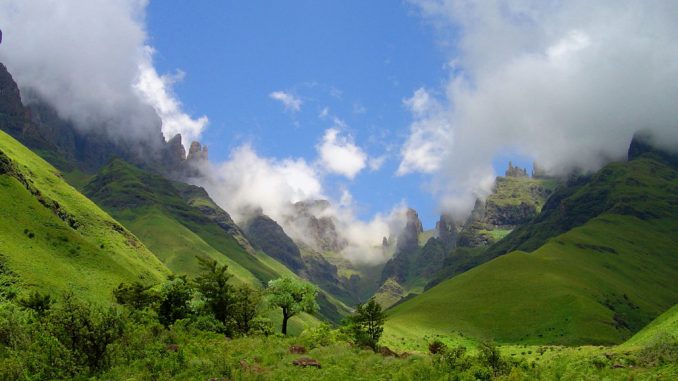 drakensberg-summer-fangs-2 drakensberg-summer-fangs-2