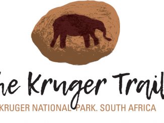 kruger-trail-logo