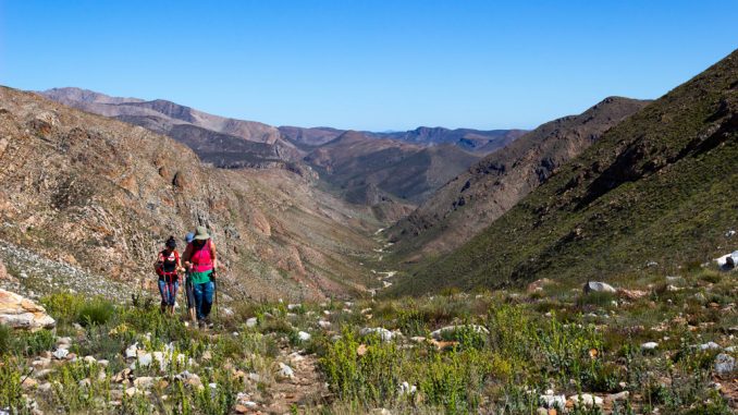 leopard-trail-103 leopard-trail-103