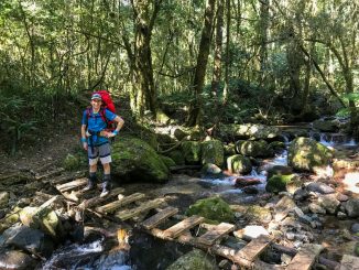 Magoebaskloof Hiking Trail river crossing