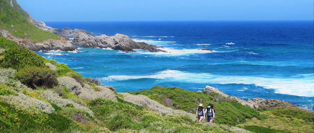 otter-trail-along-the-coast