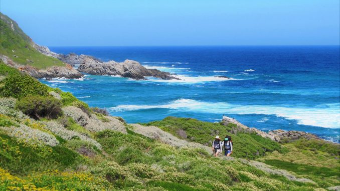 otter-trail-along-the-coast