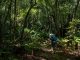 outeniqua-trail-hiker-admiring-forest