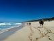 whale-trail-walking-along-beach-3